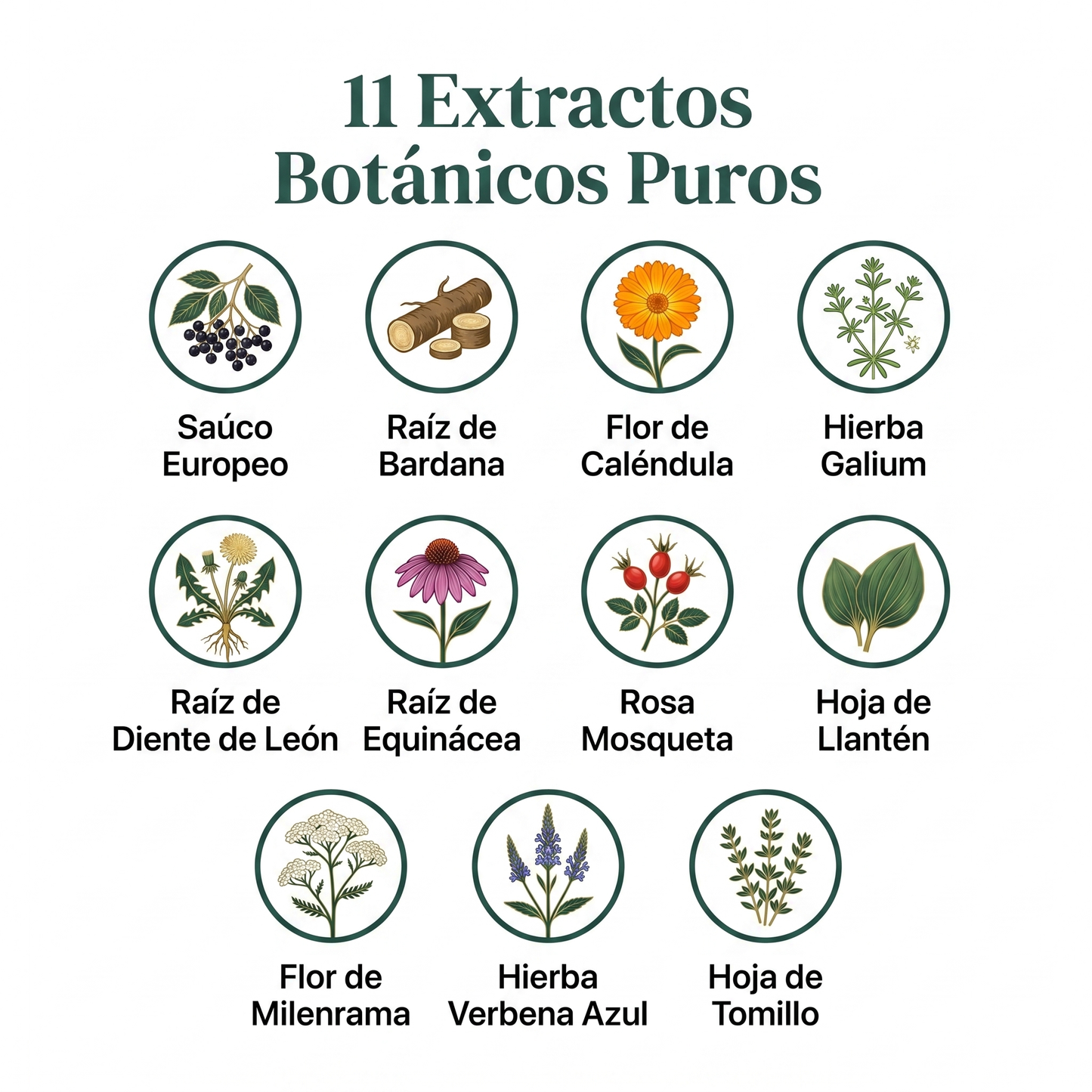 Gotas Liposomales 11-en-1
